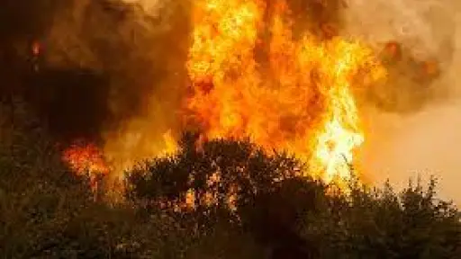Corma destaca histórica inversión para prevenir incendios forestales en temporada 2023-2024