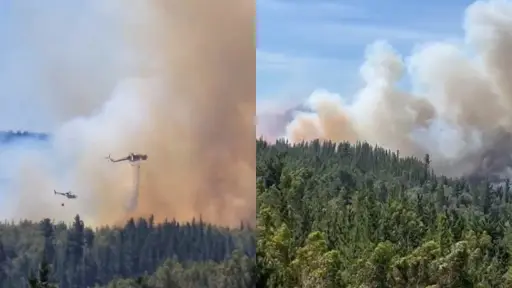 Incendio forestal que afecta el límite entre Quillón y Florida ha arrasado con más de 150 hectáreas