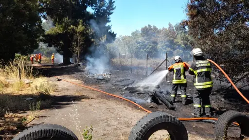 Incendio de pastizales amenazó viviendas en sector de camino Las Trancas en Los Ángeles
