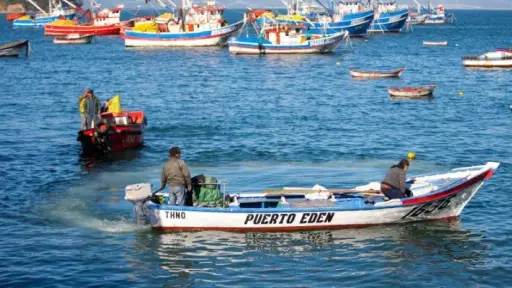 Desembarque pesquero en la Región del Biobío aumentó 30,9% en diciembre de 2023