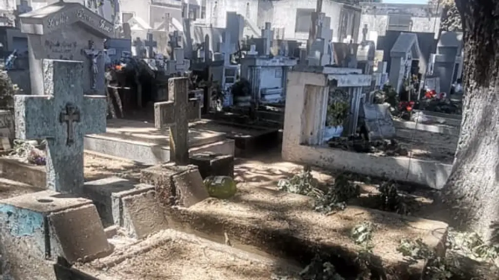 Troncos sobre tumbas en cementerio general 4 | Cedida