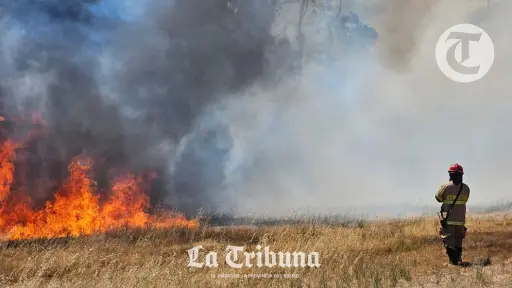 Los Ángeles al rojo vivo: Incendio forestal llegó a los límites de la ciudad
