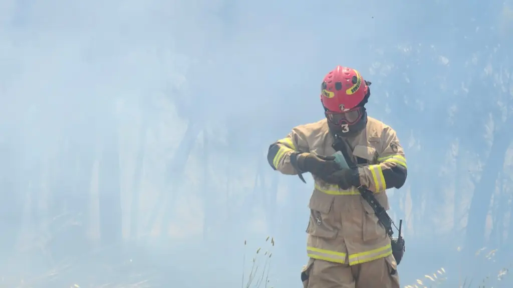 El incendio se registró en horas de la tarde en el sector Curamávida de Los Ángeles., cedida
