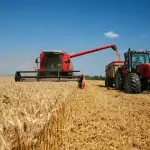 La actividad agrícola se ha visto afectada por las altas temperaturas., Diario La Tribuna