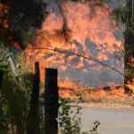 Incendio forestal, Fredy Muñoz, Archivo - La Tribuna