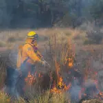 El incendio forestal Ranquilco sigue en combate. , contexto