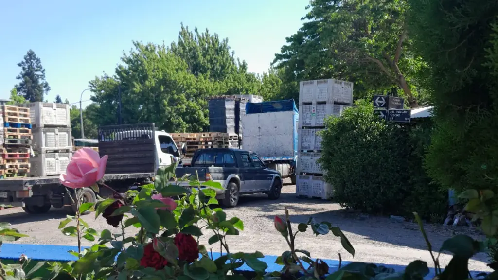 Vecinos denuncian problemas de circulación y de higiene por camiones mal estacionados