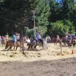 Un aspecto de la trilla a yegua suelta en Cancha Rayada., Cedida