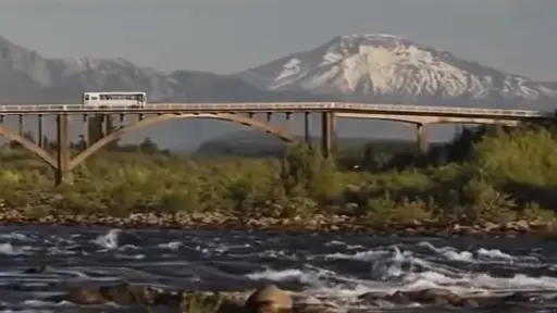 Los siete segundos de fama del puente Quilaco