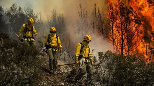 Historias de incendios: El relato de los brigadistas forestales