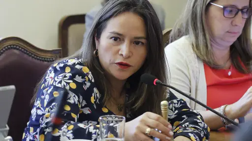 Diputada Joanna Pérez insta a revisar estado de excepción en la Macrozona Sur tras crimen de carabineros