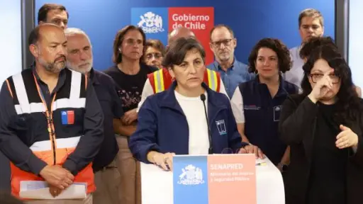 Ministerio de Salud decretó alerta sanitaria en Valparaíso por incendios forestales
