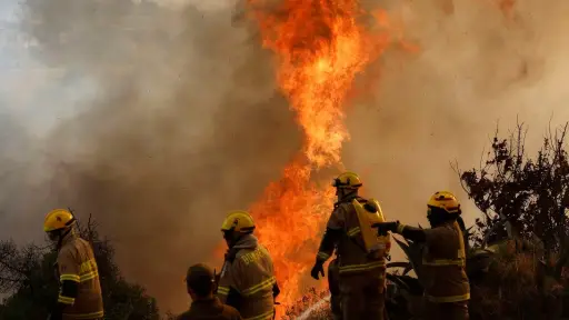 Tragedia en Valparaíso: Reportan 56 víctimas fatales en incendios forestales
