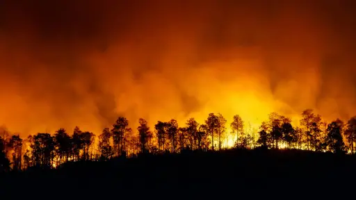 Entregan recomendaciones en salud mental para personas afectadas por incendios forestales en Chile