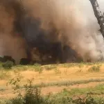 Incendio de Mulchén llevaría 100 hectáreas afectadas y se mantiene en combate, Cedida