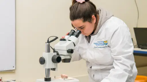 Potencian la participación de mujeres en carreras STEM gracias a nueva beca