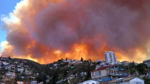 Declaran estado de excepción por incendios forestales en región de Valparaíso: Habría 10 personas fallecidas