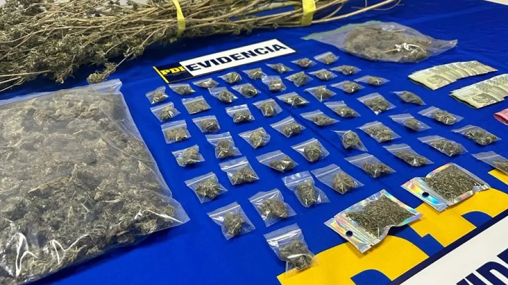 Droga incautada, PDI