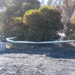 Confirman al menos 46 personas fallecidas por incendios en Valparaíso, Cedida