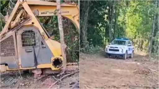 Mulchén: Banda delictual protagonizó robo de maquinaria forestal en fundo de sector Munilque