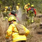 Incendios forestales en Angol, Cedida