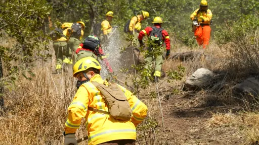 Angol en alerta: 16 incendios forestales en dos semanas preocupan a la comunidad