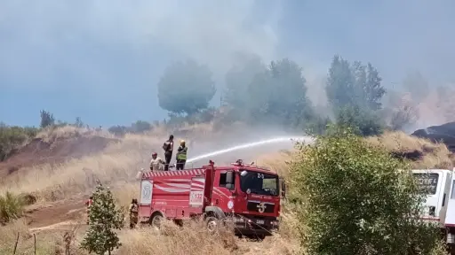 Se querellan contra sospechoso de provocar incendios intencionales en bosques de Mulchén