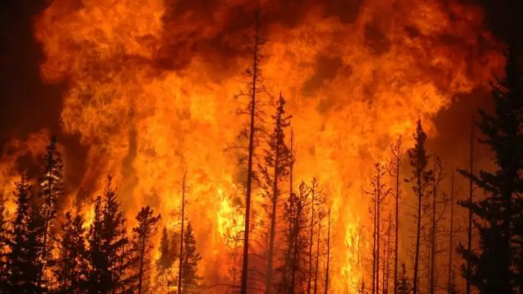 Con las proyecciones de largo plazo de todos los negocios de la madera, los incendios son materia de preocupación de los productores de biomasa, para evitarlos y disminuir las áreas afectadas.