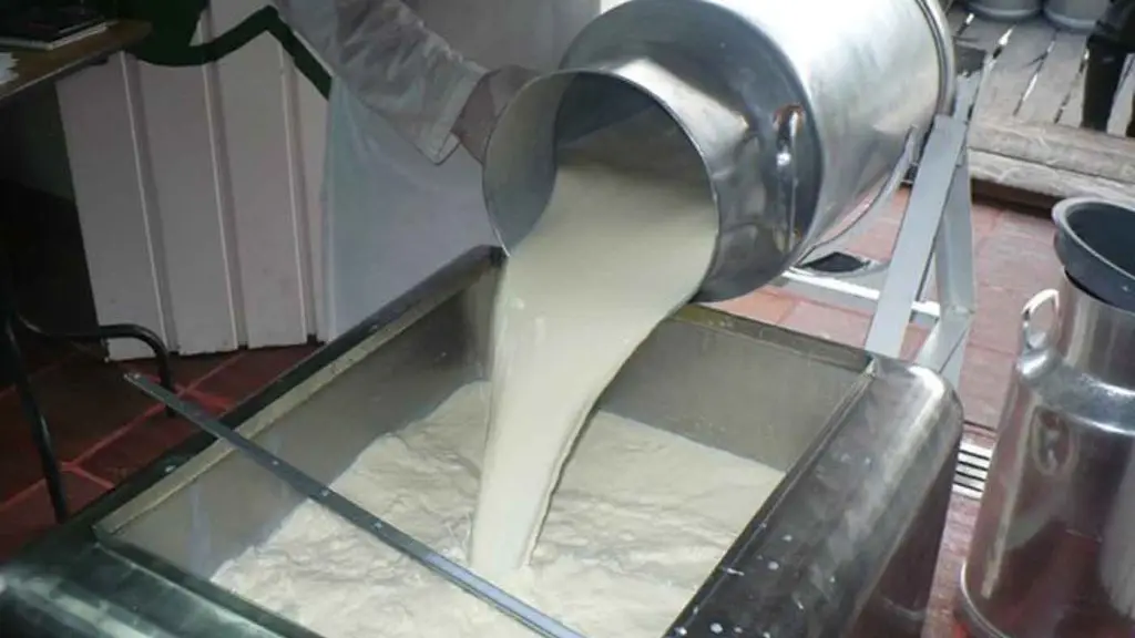 En la región del Biobío, donde se recepciona el 2,2% de la leche del país, se acumuló una caída de un 12,4% en comparación con 2022. 