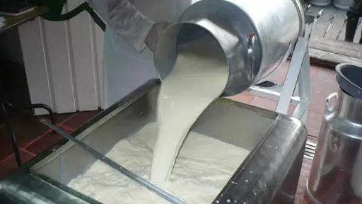 Preocupación en la industria lechera por baja en recepción y alza en costos de producción