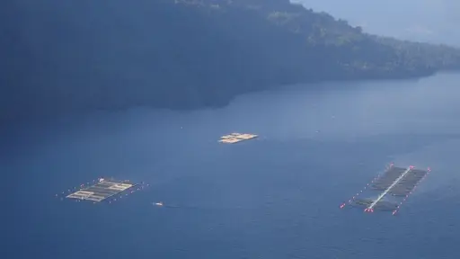 Gremios de la Macrozona Sur critican Ley Lafkenche que entrega bordes costeros a comunidades indígenas