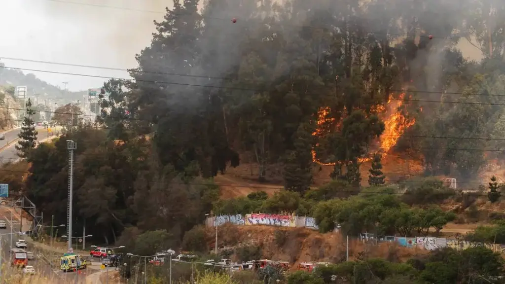 Incendio Jardín Botánico de Viña del Mar.
