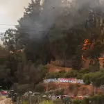 Incendio Jardín Botánico de Viña del Mar.
