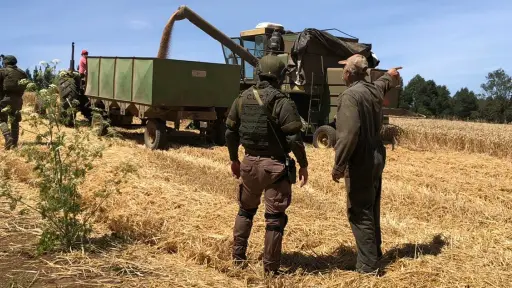 Valoran efectividad del Plan Cosecha Segura en la provincia de Biobío
