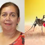 Dengue en Chile: Epidemióloga del Hospital de Los Ángeles explicó riesgos de la enfermedad, La Tribuna