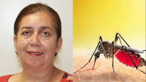 Dengue en Chile: Epidemióloga del Hospital de Los Ángeles explicó riesgos de la enfermedad