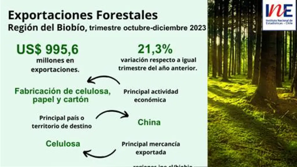 Información exportaciones forestales Biobío fines 2023.