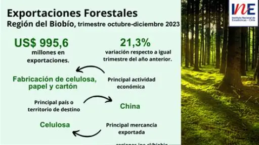 Exportaciones forestales de la Región del Biobío aumentaron 21,3% en el trimestre octubre-diciembre de 2023