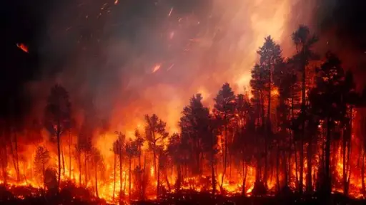 Cinco comunas de la Región de La Araucanía mantienen alertas rojas por incendios forestales