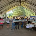 Invitan a participar de masivo evento Ülkantun Festival en Alto Biobío, Cedida