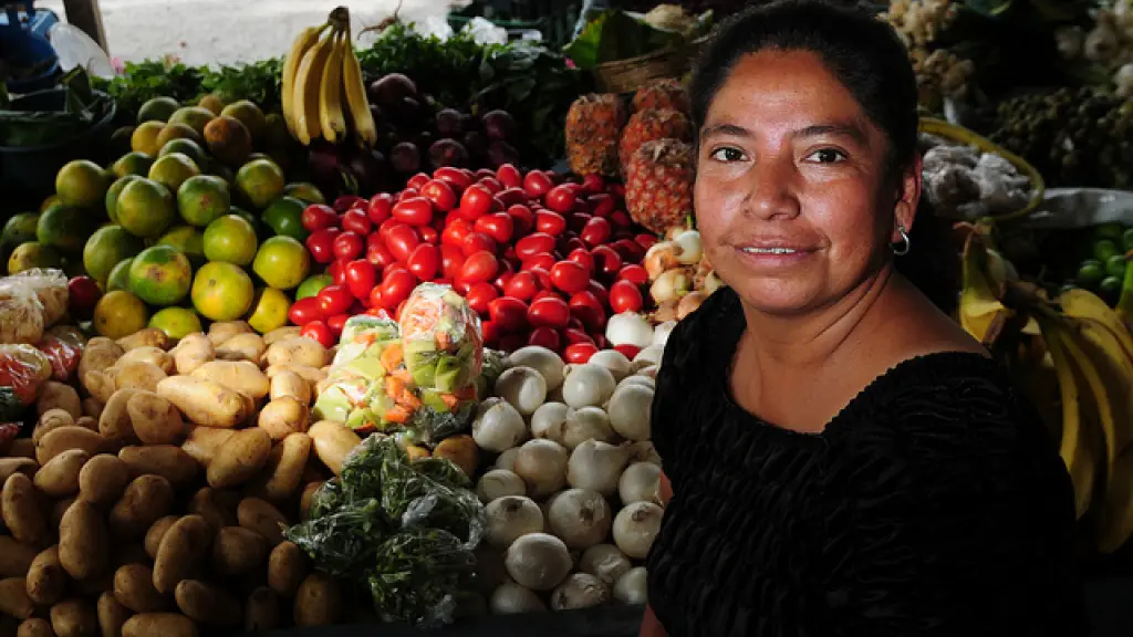 El Plan SAN CELAC al 2030, que sería lanzado durante la Cumbre Presidencial de CELAC, en marzo de 2024, busca fortalecer este tipo de medidas para combatir el hambre y la mal nutrición en el continente.