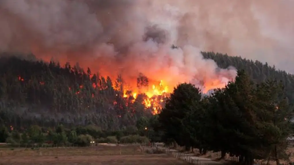 Según la Sociedad Agrícola de Biobío, el trabajo de Carabineros de Chile y de la PDI ha demostrado que es posible lograr mejores índices de incendios controlar el daño de los incendios.