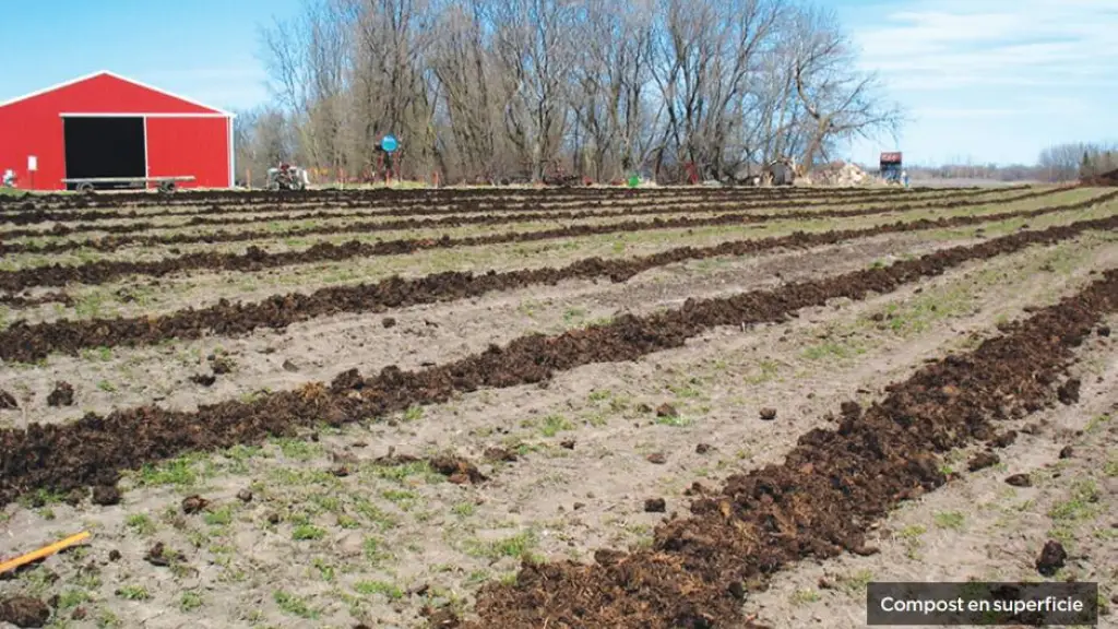 Presencia de fósforo en suelo agrícola.