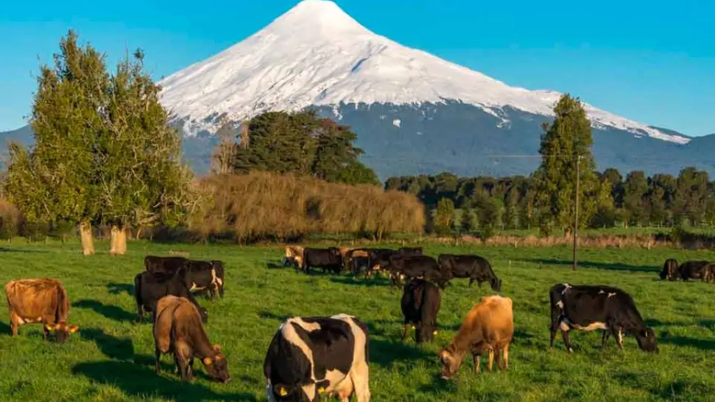 Herramientas como esta permiten producir de forma más sustentable y a costos más bajos, que es parte de los focos de los productores agrícolas chilenos en la actualidad.