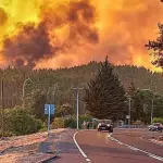 Los incendios forestales causaron daños enormes en Nacimiento y Santa Juana, principalmente., Cedida