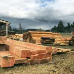 Calidad de la madera para la construcción: cambios en la normativa, mejoras en su estándar y mirada hacia el futuro