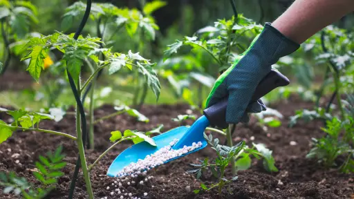  Estudiante de ingeniería propone recuperar fósforo de aguas residuales para producir fertilizante agrícola