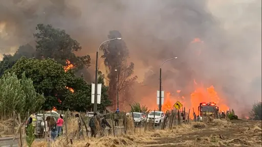 Incendio forestal amenazó viviendas en el sector Sor Vicenta