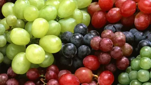 Comité de Uva de Mesa de Frutas de Chile proyecta exportar 35 millones de cajas a EE.UU
