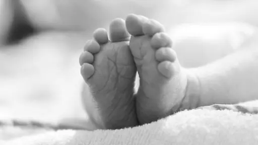 Infanticidio: Madre habría enterrado a su bebé en cementerio de mascotas en Talcahuano